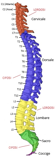 fisioterapia colonna leinì