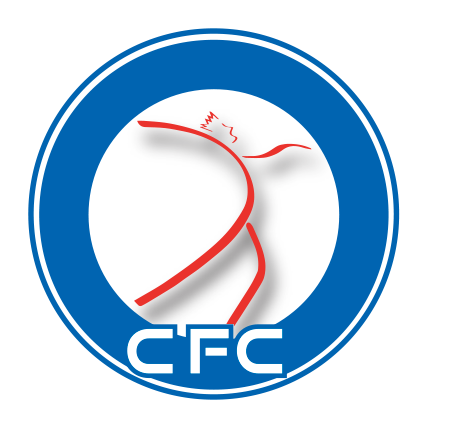 FISIOTERAPIA LEINI CFC logo
