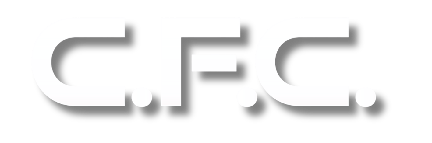FISIOTERAPIA LEINI CFC logo
